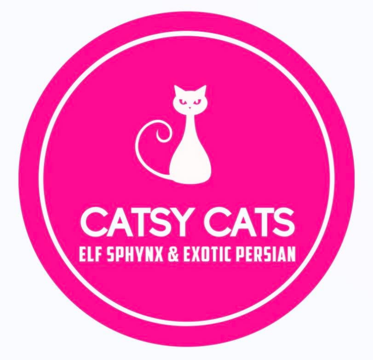 Catsy Cats Exotic & Sphynx Cattery